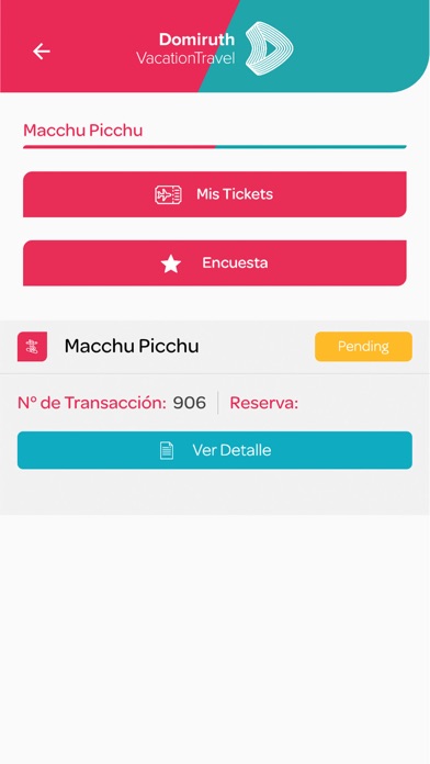 Domiruth Travel Screenshot