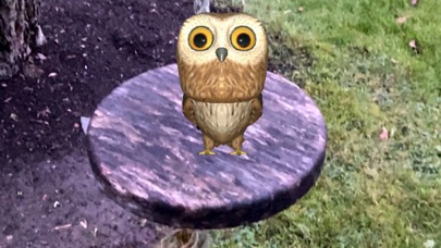 Rocky Owl AR Screenshot