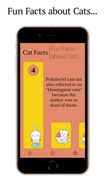 Cat Facts:Fun Facts about Cats