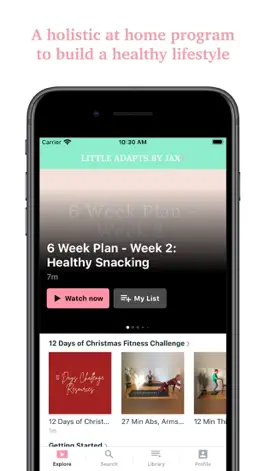 Game screenshot Little Adapts By Jax apk