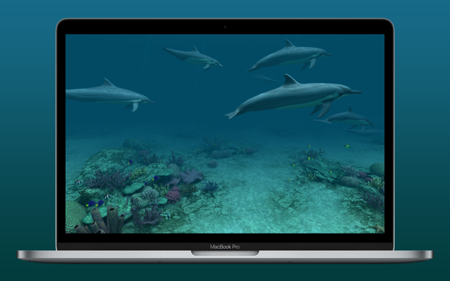 ‎Dolphins 3D Screenshot