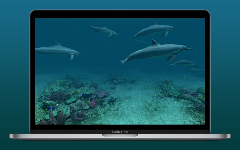 Screenshot #3 pour Dolphins 3D
