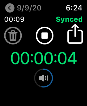 ‎Professional Voice Recorder Screenshot