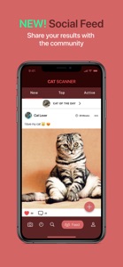 Cat Scanner screenshot #4 for iPhone