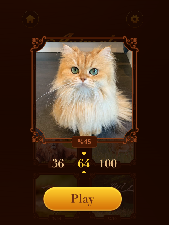 Screenshot #6 pour Jigsaw Master: Puzzle