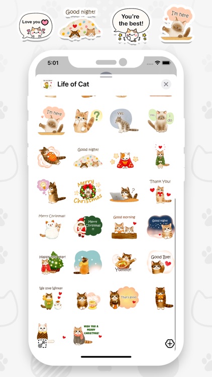 Life of Cat Animated