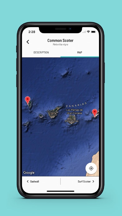 Macaronesian Birds Screenshot