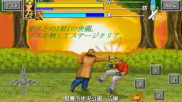 Game screenshot 武闘双神 apk