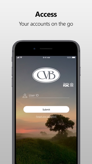 Cottonwood Valley Bank Screenshot