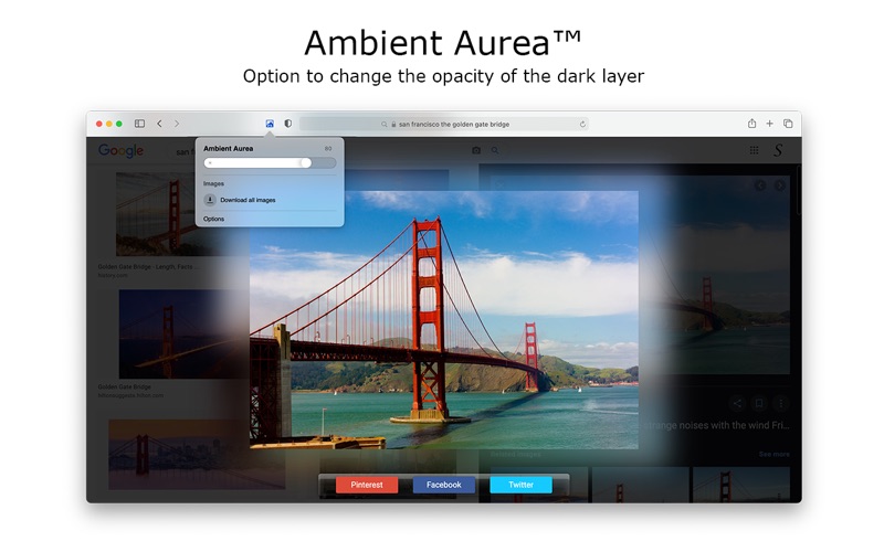 ambient aurea for safari problems & solutions and troubleshooting guide - 1