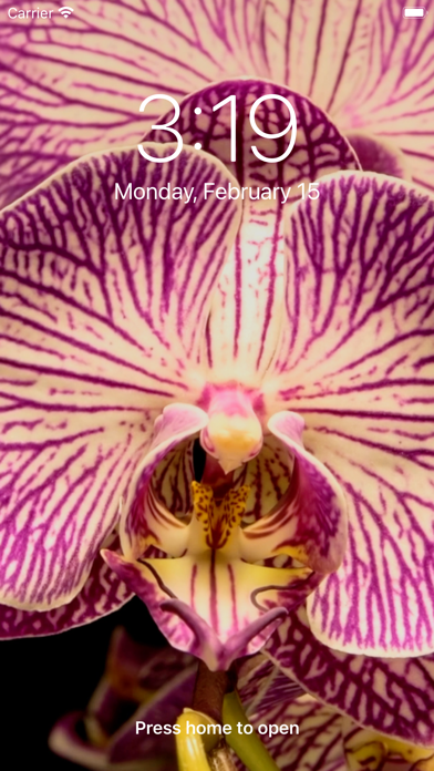 Live Watch Faces 3D Wallpapers Screenshot