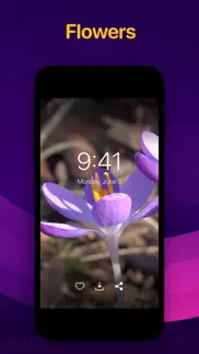 make your own wallpaper iphone screenshot 3