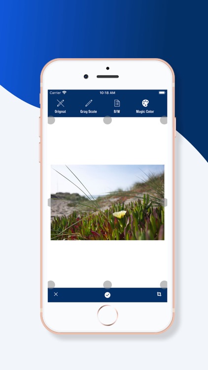 Document Scanner App screenshot-3