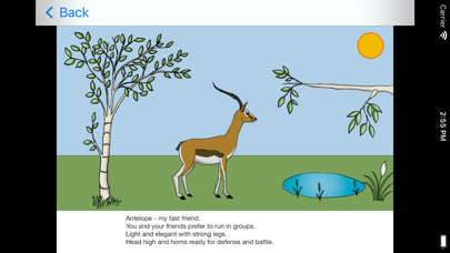Animals in Africa - Math App Screenshot