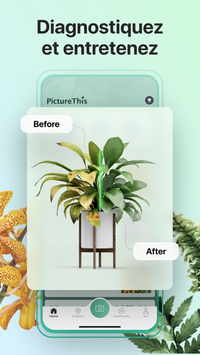 PictureThis-Identifier Plantes PictureThis-Identifier Plantes