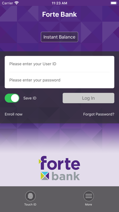 Forte Bank WI Retail Banking Screenshot