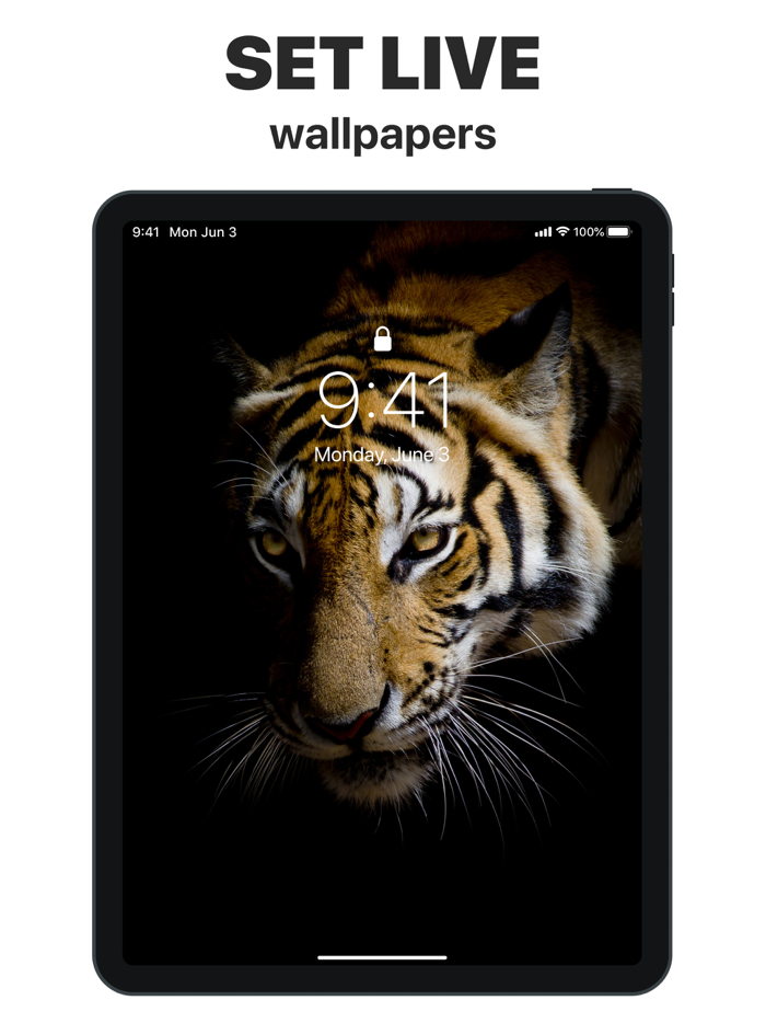 App Icons – Widget and Wallpaper