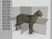 3d cat anatomy ipad images 1