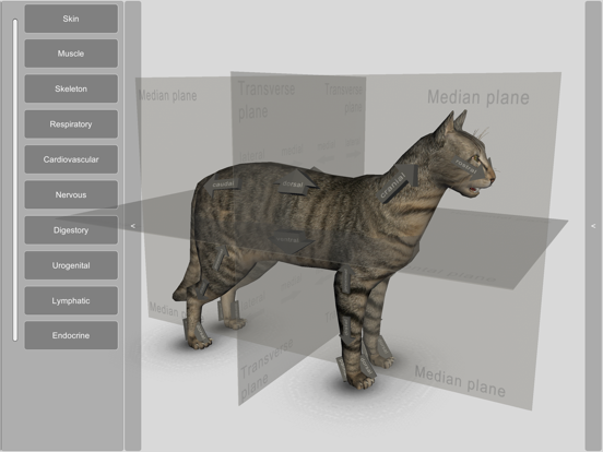 3D Cat Anatomyのおすすめ画像1