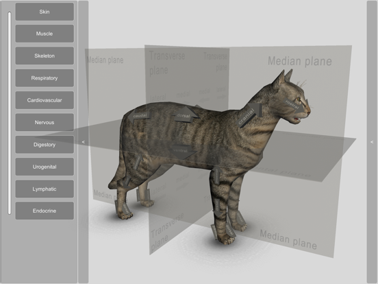 Screenshot #4 pour 3D Cat Anatomy
