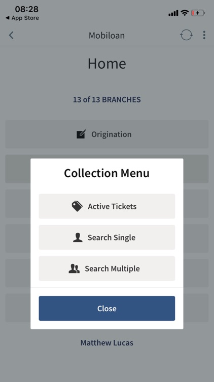 Mobiloan screenshot-3