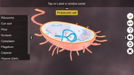 prokaryotic & eukaryotic cell iphone screenshot 2