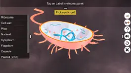 Game screenshot Prokaryotic & Eukaryotic cell apk