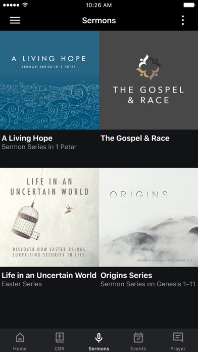Christ Church East Screenshot