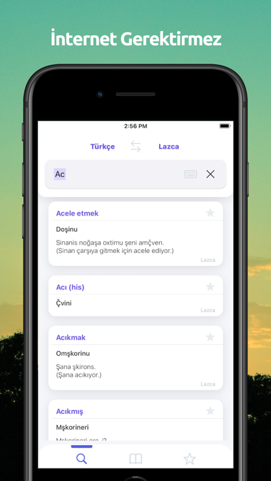 Lazca Türkçe Sözlük Screenshot
