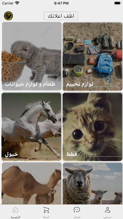 حلال قطر Screenshot