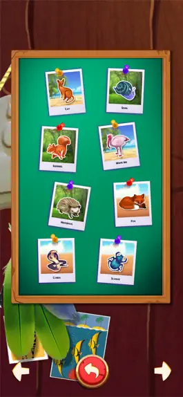 Game screenshot Animal Drop Safari - Match 3 hack