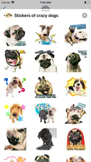 stickers of crazy dogs iphone screenshot 2