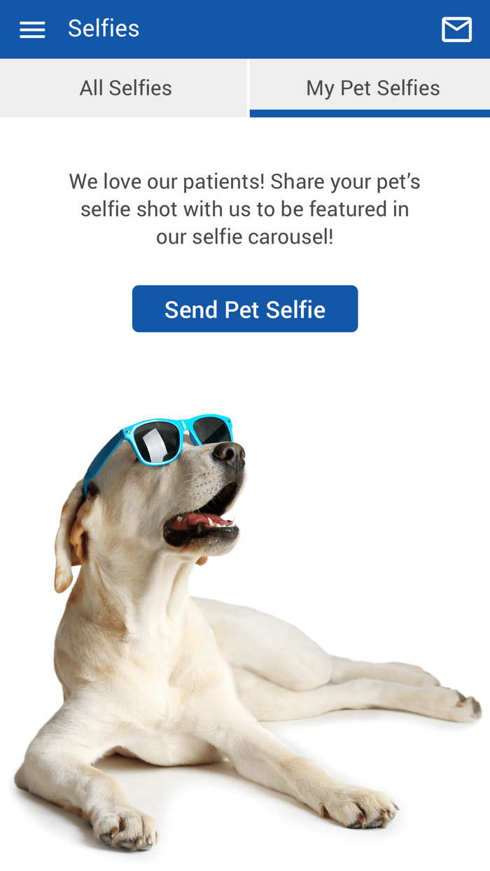 OConnor Road Animal Hospital