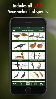 all birds venezuela - guide iphone screenshot 3