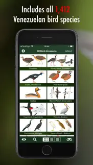 all birds venezuela - guide iphone capturas de pantalla 3
