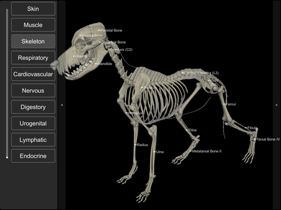 3D Canine Anatomyのおすすめ画像4