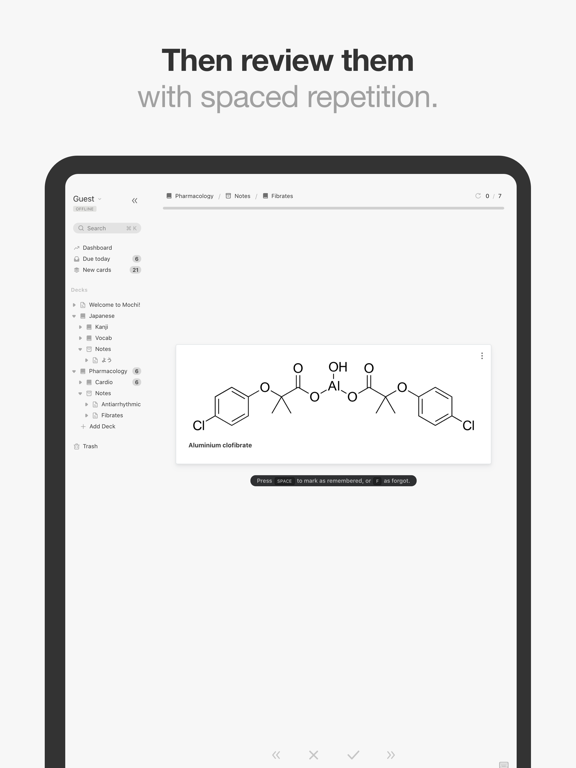 Screenshot #6 pour Mochi - Flashcards and notes