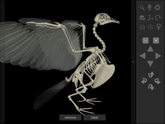 Screenshot #6 pour 3D Bird Anatomy