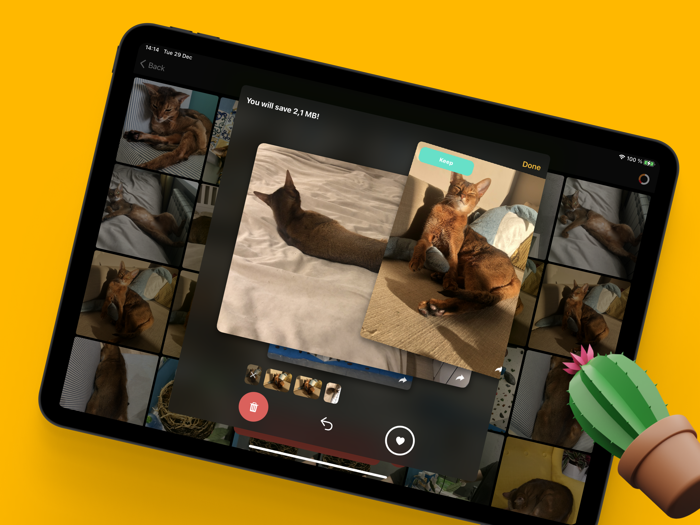 Duplicatus - Photo Cleaner