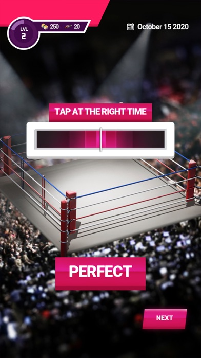 Indie Wrestler Screenshot