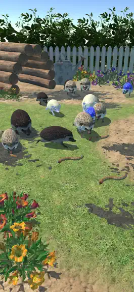 Game screenshot Hedgehog Friends apk