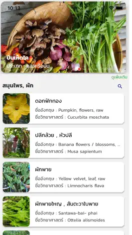 Game screenshot อาหารสมุนไพร mod apk