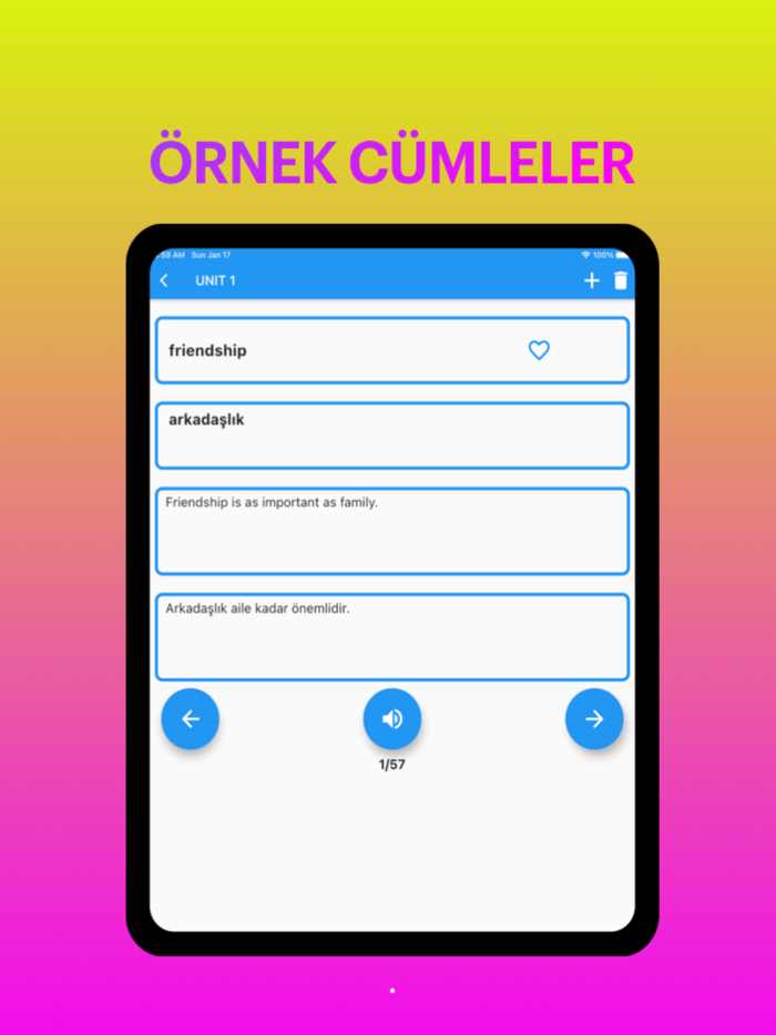 8. Sınıf İngilizce