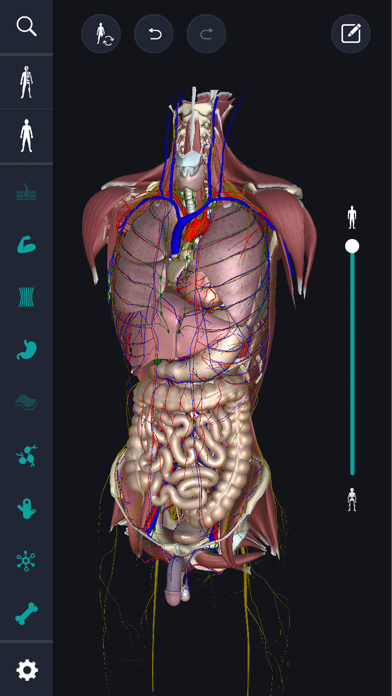 3D anatomy teamLabBody2020 screenshot 3