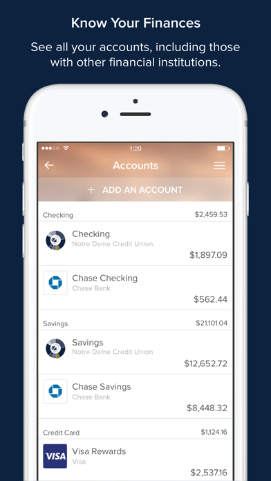 MoneyWorks Screenshot