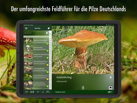Screenshot #5 pour Pilzführer Deutschland, Pilze!