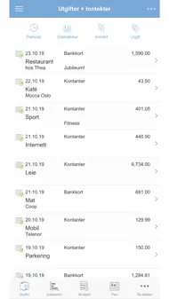 Budget - Familien Budsjett iphone bilder 2