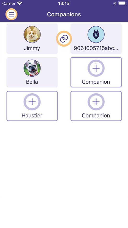#5. GPS Companion (iOS) 由: haveltec GmbH