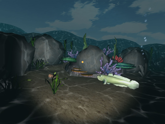 Scuba Adventure Philippines