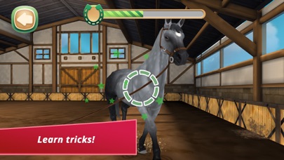 HorseHotel Premium screenshot 4